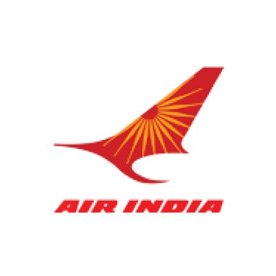 Air-India-thegem-person